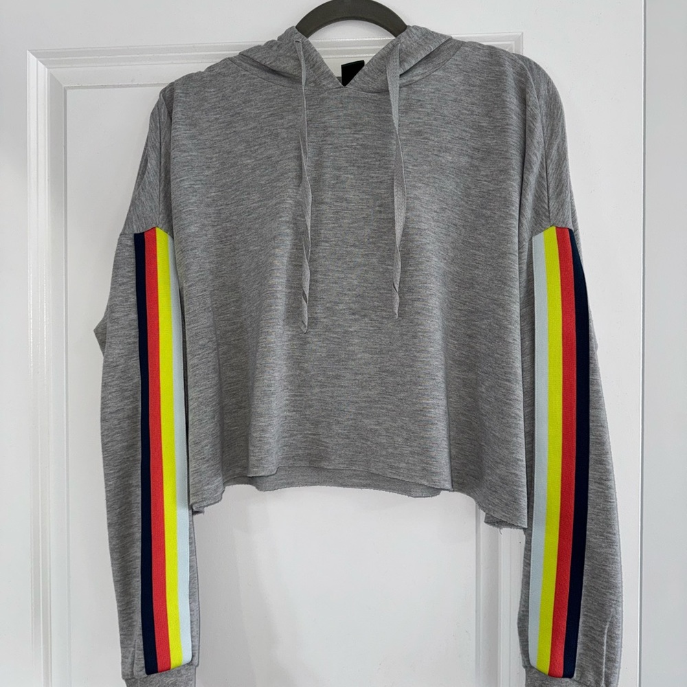 Gray Cropped Hoodie with Rainbow Stripes